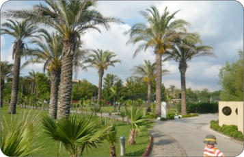 Urlaub im MAGIC LIVE Water World in Belek Türkei